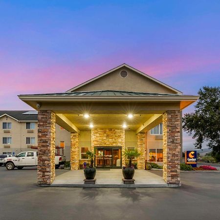 Comfort Inn & Suites Redwood Country Fortuna Extérieur photo