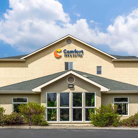 Comfort Inn & Suites Redwood Country Fortuna Extérieur photo